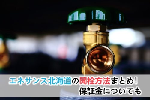 エネサンス北海道のガスの開栓